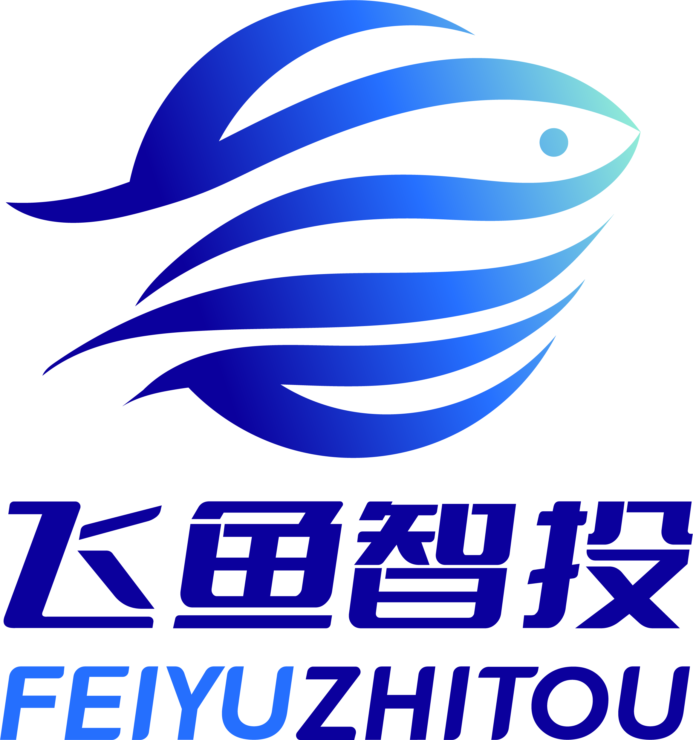 FY